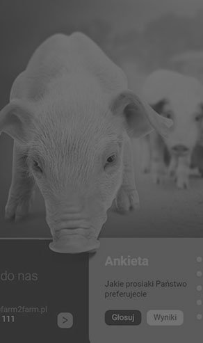 responsywne strony internetowe